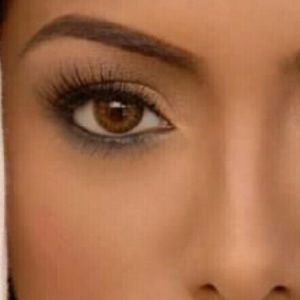 Meet your Posher, Jerry