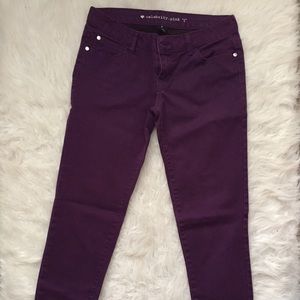 Purple Celebrity Pink Pants