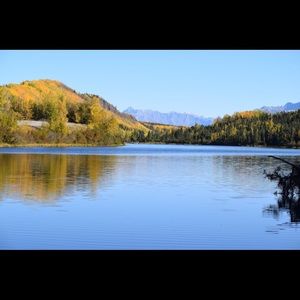 Meet your Posher, Tauseef