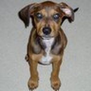 Meet your Posher, Katy