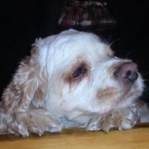 Meet your Posher, Roberta