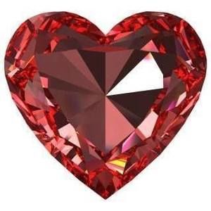 Meet your Posher, Daisy