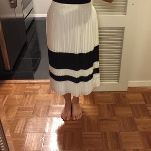 Black and White Skirt