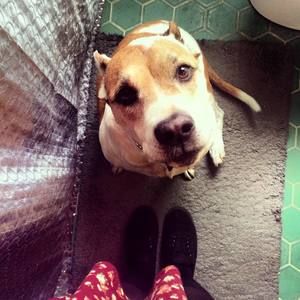 Meet your Posher, Aleah