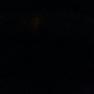 Meet your Posher, Rickey