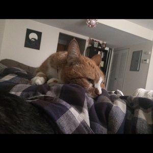 Meet your Posher, Kaleigh