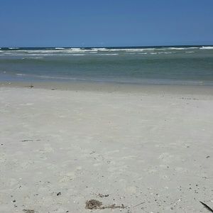 Meet your Posher, Bobbie