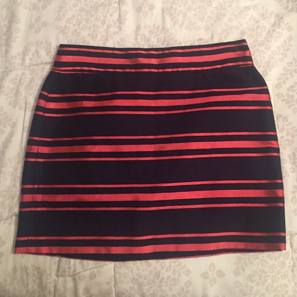J.Crew Skirt