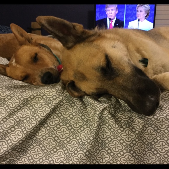 We tried watching but fell asleep. - Picture 2 of 2