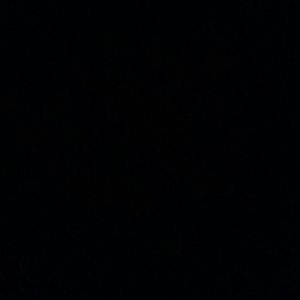 Meet your Posher, Timothy