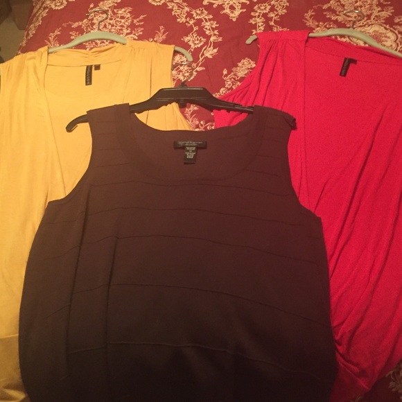 Bundle for @cassidysplace