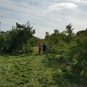 Meet your Posher, Dana