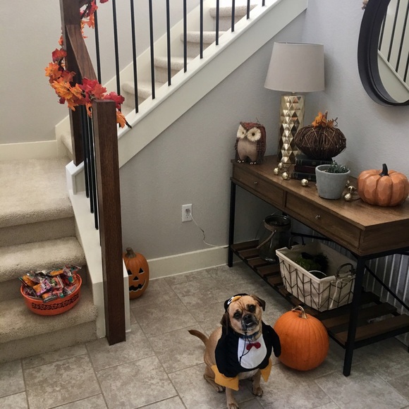 Meet your Posher, Jenny