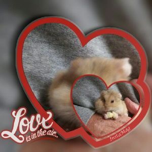 Meet your Posher, Katheryn