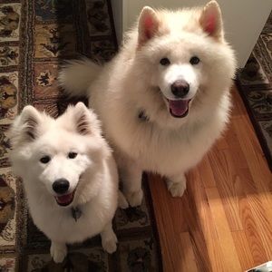 Meet your Posher, Nancy