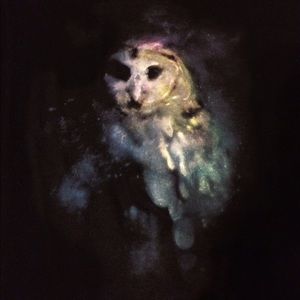 Threadless owl nebula T-shirt