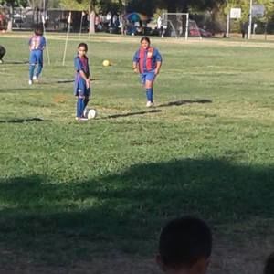 Meet your Posher, Barbara