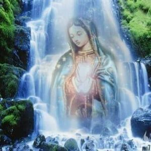 Meet your Posher, Connie