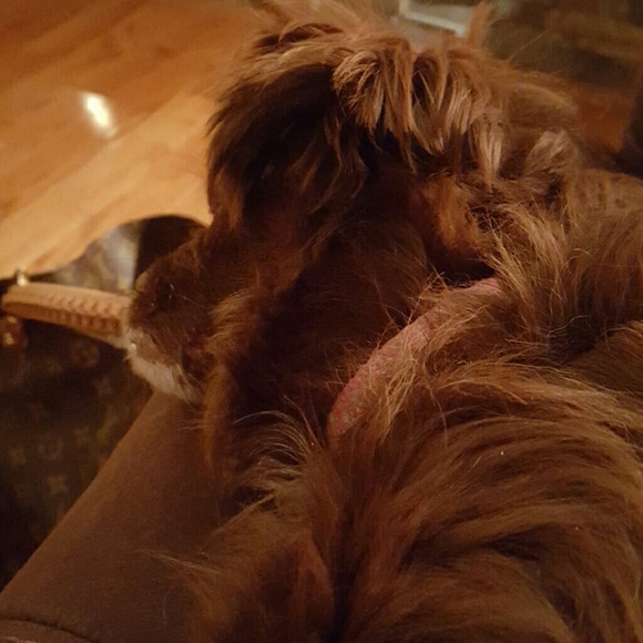 Meet your Posher, Ms