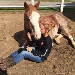 Meet your Posher, Mercedes