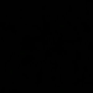 Meet your Posher, Sabrina