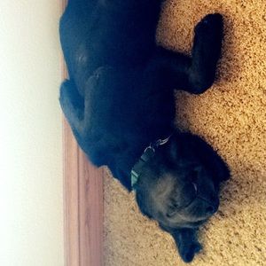 Meet your Posher, Jordyn