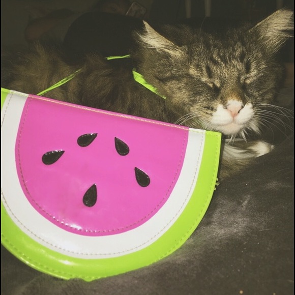 Watermelon Purse - Picture 1 of 4