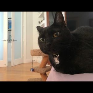 Meet your Posher, Annette