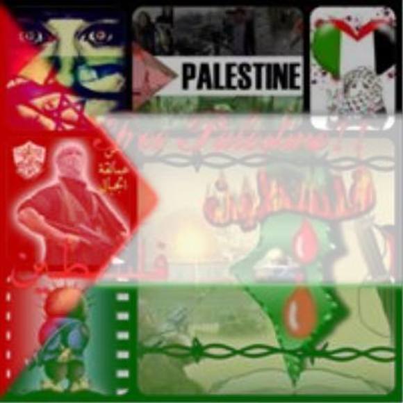 Meet your Posher, Rafe - Picture 1 of 1