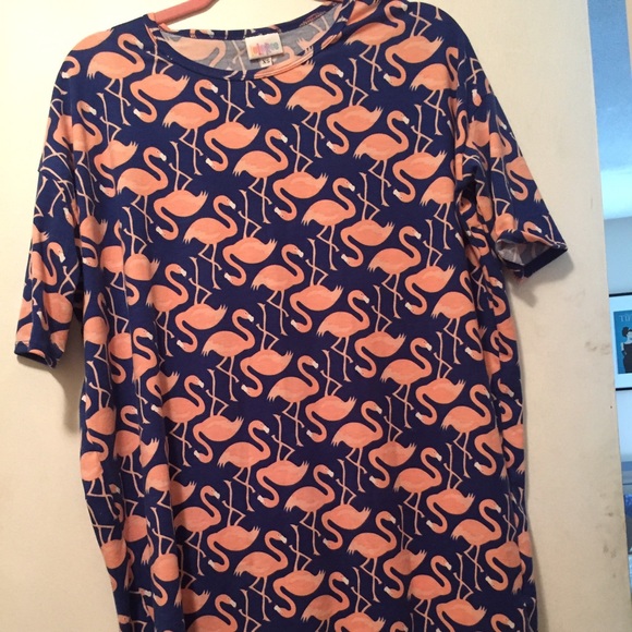 Flamingo Irma! - Picture 1 of 1