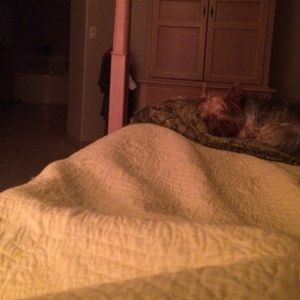 Meet your Posher, Maria