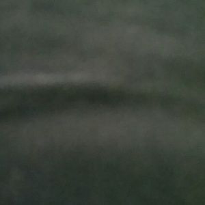 Meet your Posher, Randy