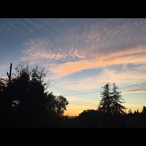 Meet your Posher, Sophia