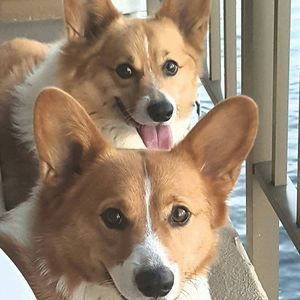 Meet your Posher, Kimmie