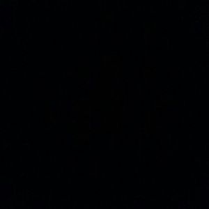 Meet your Posher, Patsy