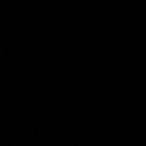 Meet your Posher, Suzanne