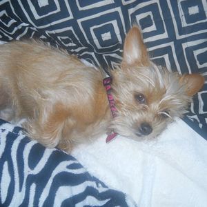 Meet your Posher, Yvette