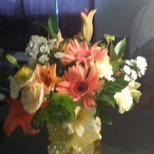 Meet your Posher, Brittany