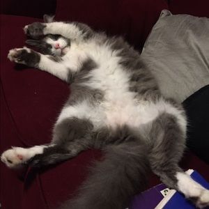 Meet your Posher, Christine