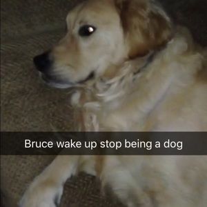 Meet your Posher, Ford