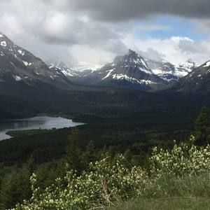 Meet your Posher, Shelly