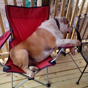 Meet your Posher, Sue