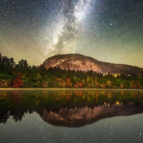 Meet your Posher, Monal - Picture 1 of 1