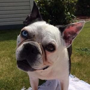 Meet your Posher, Shelly