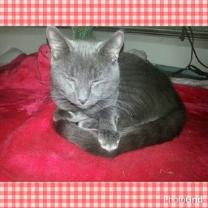 Meet your Posher, Maria