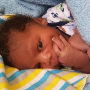 Meet your Posher, Natasha