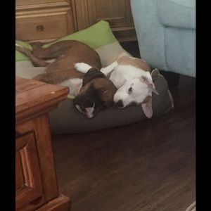 Meet your Posher, Amber