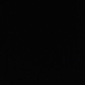 Meet your Posher, Maya