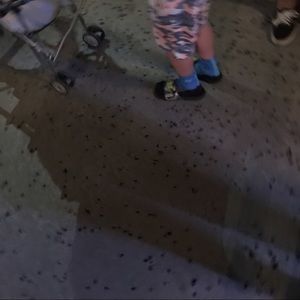 Meet your Posher, Dru