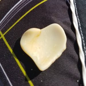 Meet your Posher, Ann